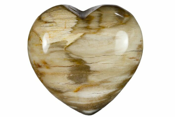 Polished, Triassic Petrified Wood Heart - Madagascar #115503